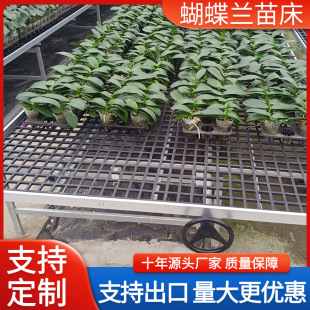 �Ƅ��紲������ҷNֲ�����m���紲�߲˻��ܟo���ԟ���\�̶��紲