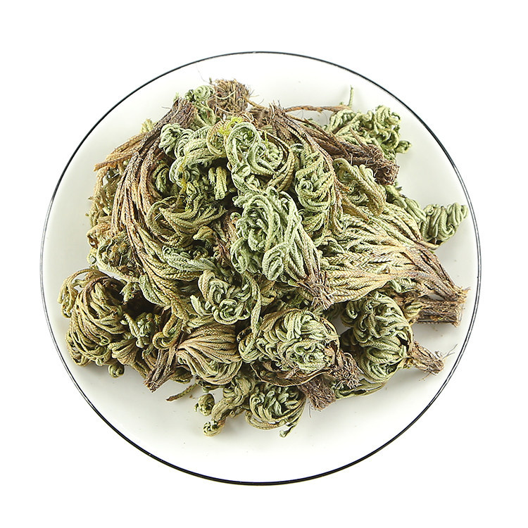 Dried Selaginella Juan Bai 250g Resurrection Herb Whole Plant Traditional Chinese Herbal Tea Material key features