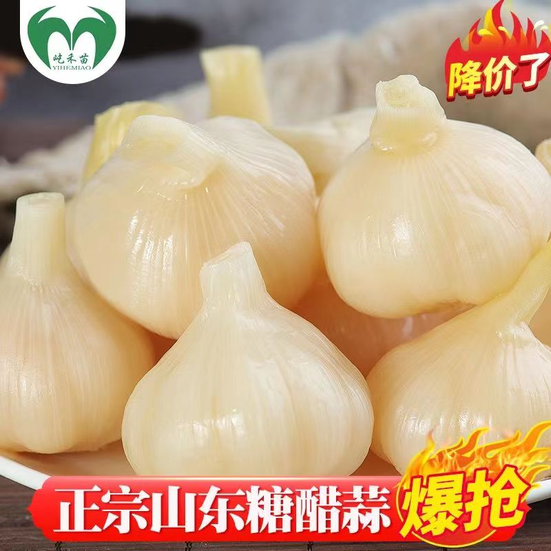 2.5kg 백설탕 식초마늘 1봉 [핫셀 추천]