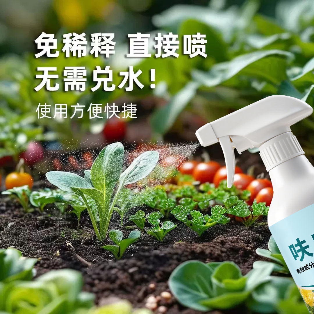 商品图