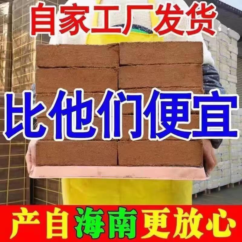 코코넛 브릭 6개 [핫 세일] 추천