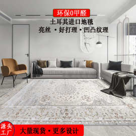 土耳其进口地毯客厅轻奢威尔顿机织地毯家用耐脏好打理高级茶几毯