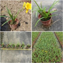 ��ɽ���ع������������ ����� ���^������ľ