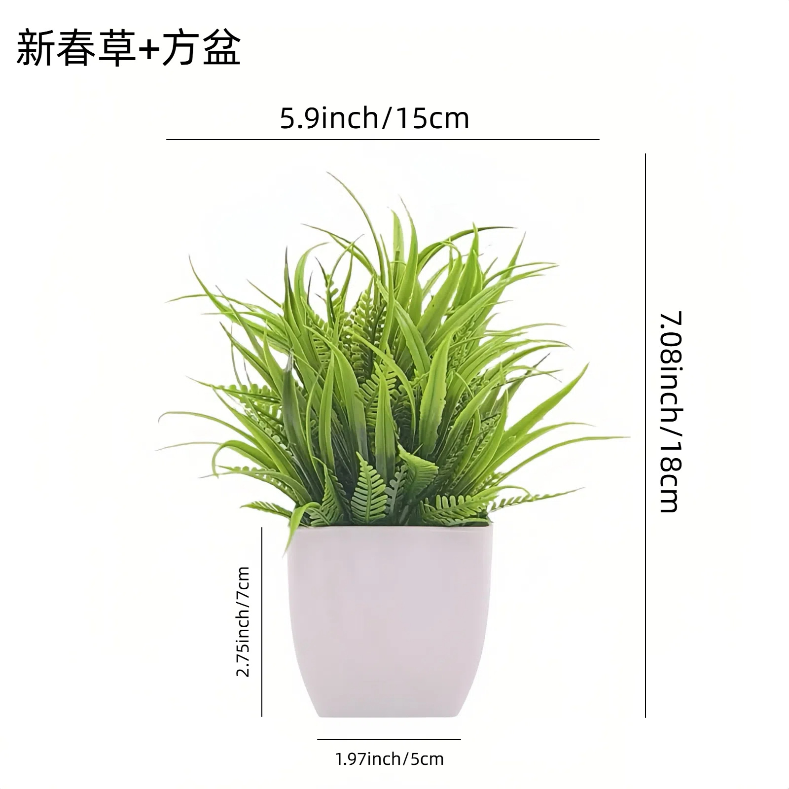 Venta al por mayor transfronteriza de Amazon: Juego de 10 mini plantas artificiales en maceta para decoración del hogar, eucalipto, lavanda, bonsái image 12