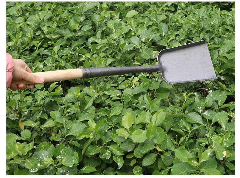 O1CN01F2xvG12KUWzU4bIPi_!!2185