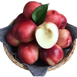 块茎类;其他水果;苹果