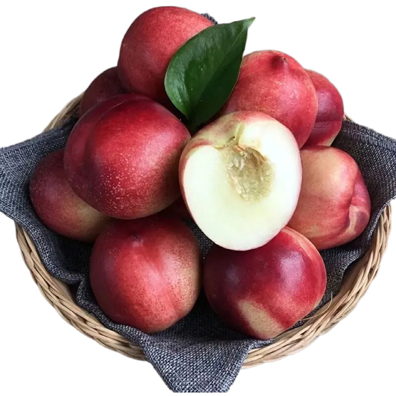 智利桃驳李油桃当季水果广州发货包邮新鲜水果桃驳李一件代发