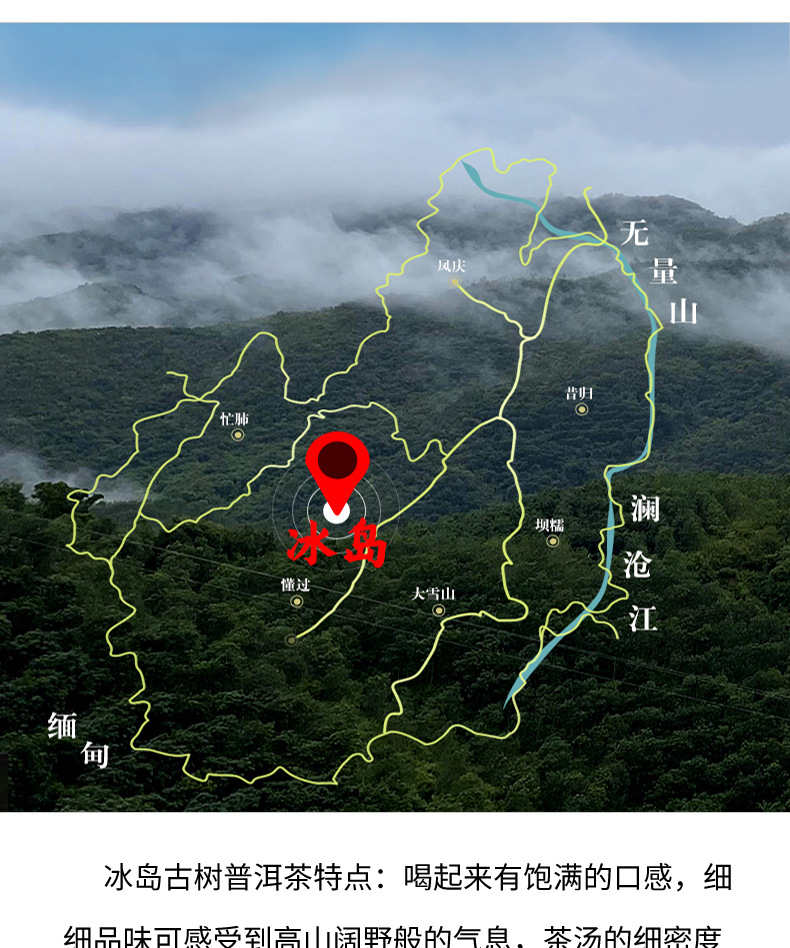 冰岛熟茶_详情_04.jpg