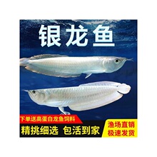 �y���~���~��Ꭷ�^�p�~�д����S���t�۰����y���߲��y���������~