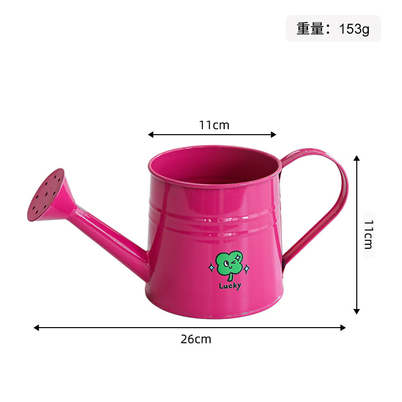 Large iron watering bottle-rose red (green flower sticker)