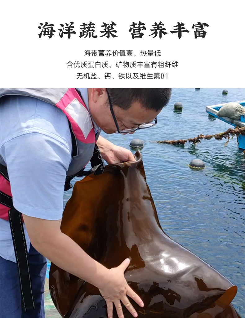 昆布干海带_04