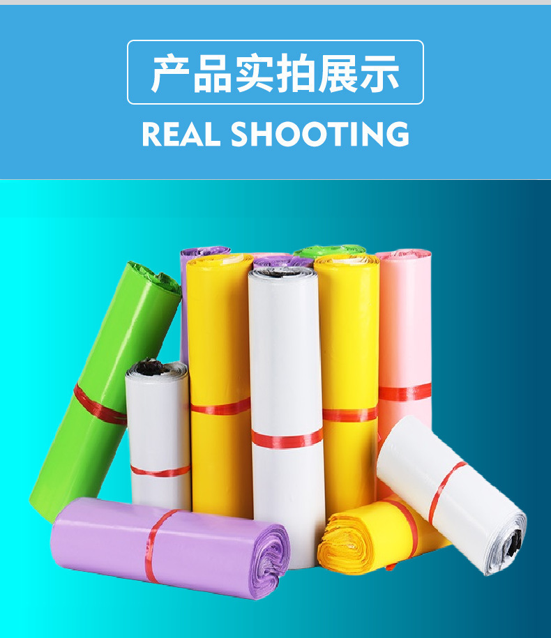 5f00b22d3f411092d0e08d4a999c13