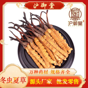 ���x�Ĳ����������x�����l �x�ݸ�؛������ֲ�����ݾƶ�Ҏ��