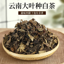 2022年老白茶寿眉贡眉干仓茶叶批发500克云南大叶种白茶厂家直供