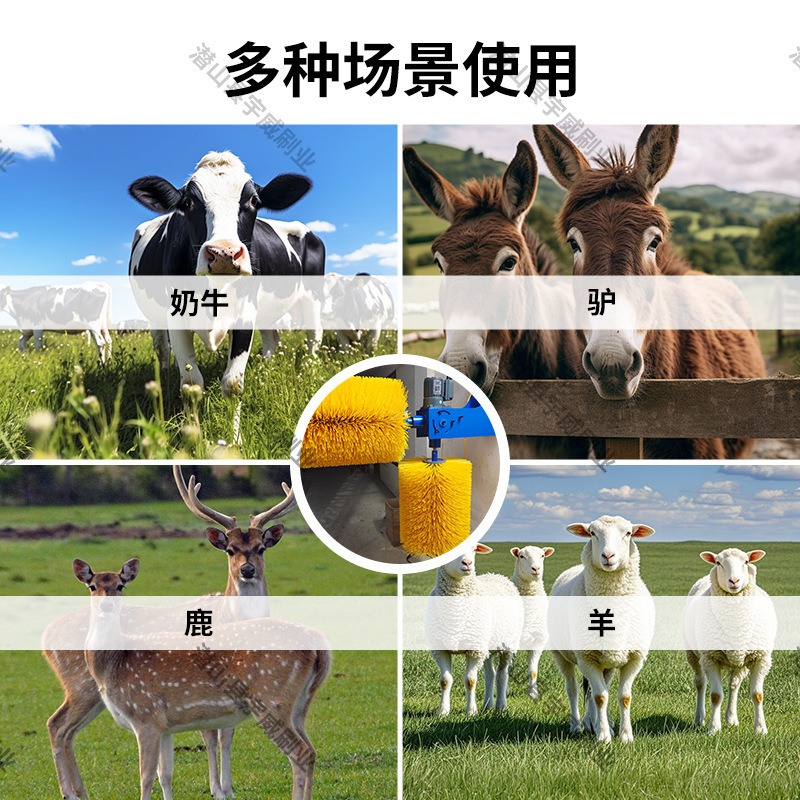 メーカー双頭牛ボディブラシ、牛洗浄ブラシ、かゆみマッサージ洗浄ブラシ、牧場専用ブラシ、馬ボディ洗浄ブラシ|undefined