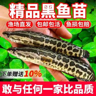 ���~�����l��ˮ�Bֳʳ�����~��С���~����ˮؔ�~���^�p�~�ͻ���B