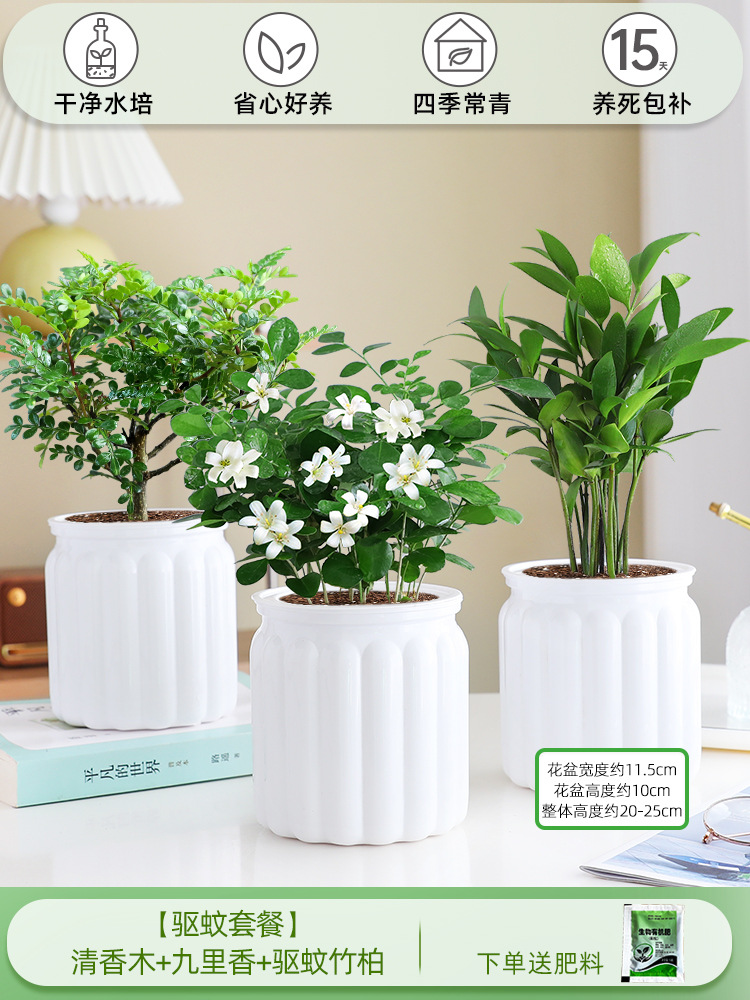 [모기퇴치 패키지] 향나무 + 구리향 + 모기퇴치대나무와 편백나무