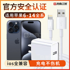 【充電器】データケーブル USB充電ヘッドセット ホットブラッドクラフトマン/TZ02