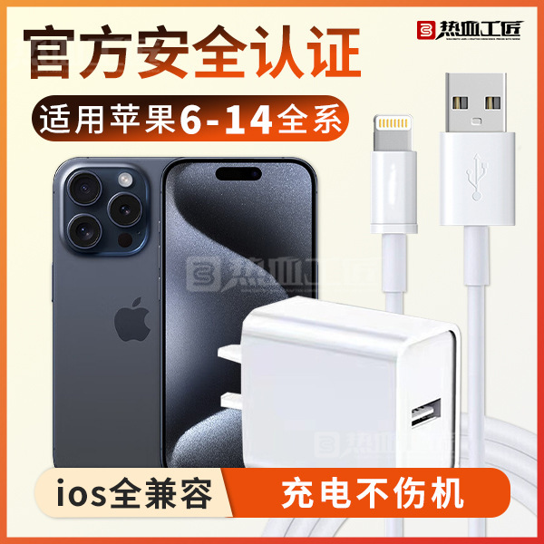 [Charger] Data Cable USB Charging Head Set Hot-Blooded Craftsman/Tz02