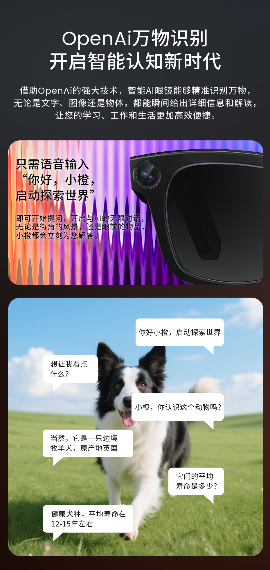 Electrochromic Ai Smart Glasses for Shooting and Recording Video, Bluetooth Translation, 1080P Hd 800W Camera