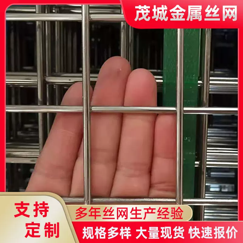 厂家定制镀锌铁丝网养殖网格网鸽子金属防护网防锈电焊网片网格片