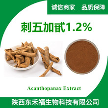 刺五加甙1.2% Acanthopanax Extract刺五加苷1kg起另有刺五加生粉