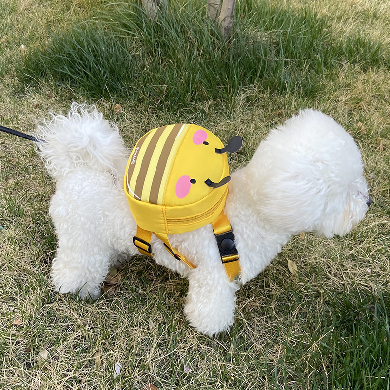 ペットは犬の散歩に出かけます。|undefined