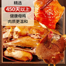 ���P���u  ��ֻ���u�����uζ��ʳ��˺�u��ʳ�ӱ�ʯ��ׯ�خa