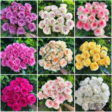 鲜花新鲜基地花束云南玫瑰礼直发香水百合直批包邮真花向日葵切花