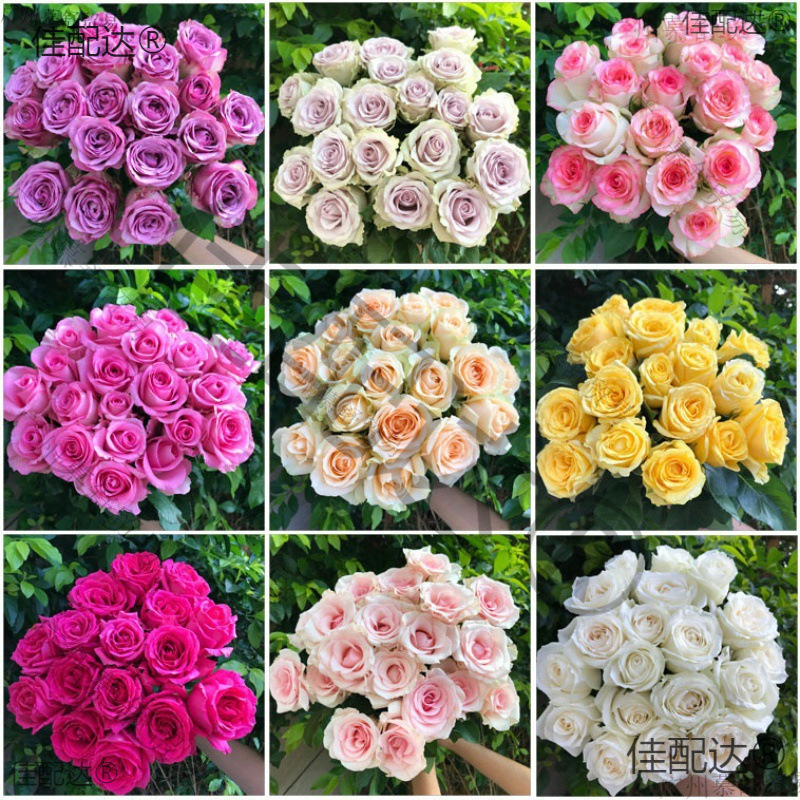 鲜花新鲜基地花束云南玫瑰礼直发香水百合直批包邮真花向日葵切花