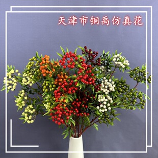 �lؔ����������t���������༪����{���Ҿӻ�c�b[����������