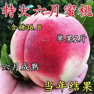 ���A���Ҽ޽��Ҙ����ش�����۶���Ѫ���S��ˮ���Ҙ����ͺ�