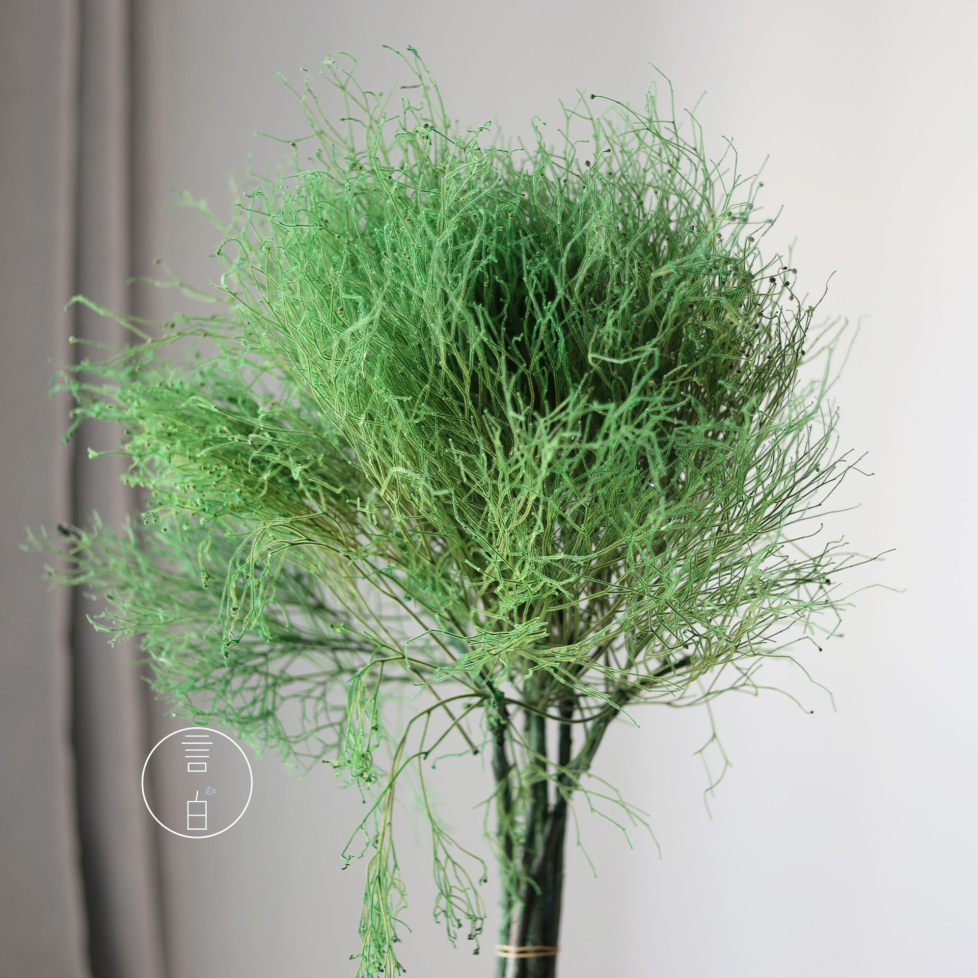 Un bouquet vert (y compris des branches cassées)