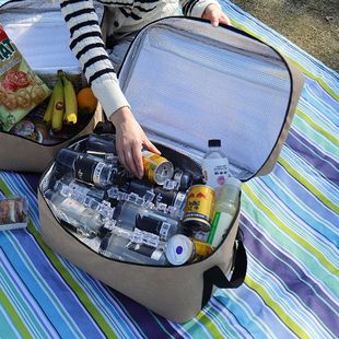 Portable Picnic Bag Large Capacity Satchel Outdoor Cold Insulation Storage Bag Single Shoulder Crossbody Large Insulated Box Customization