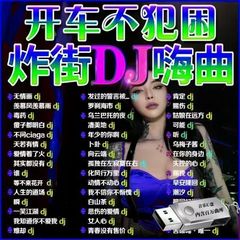 Douyin カーミュージックポップ 2025 ホットカーユーディスク新バージョン dj ソングダンスミュージック MV ロスレス高品質 mp3