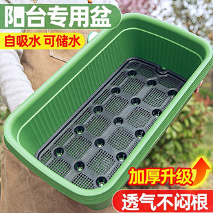 �N�����̨�����߲˷N�ˑ����L�������ϻ����L�l�ش�̖�Nֲ��