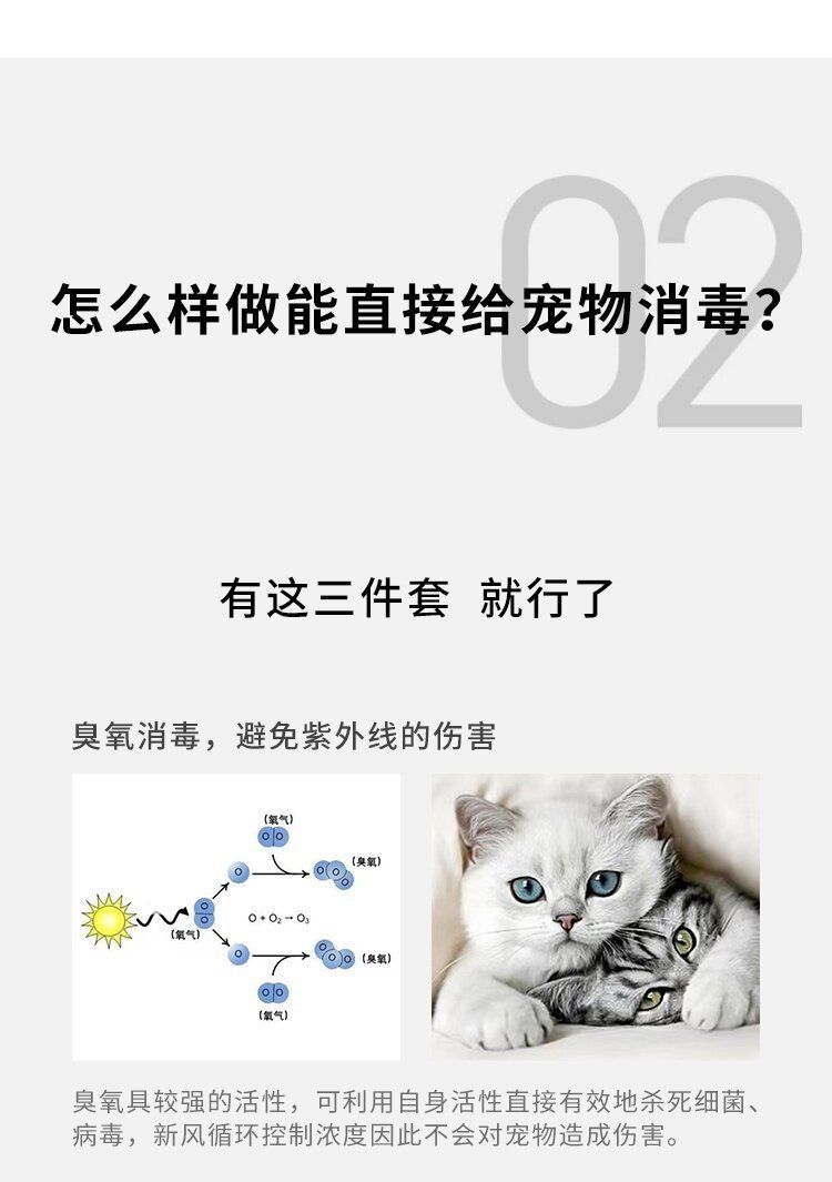 2c2486a9-daa1-4294-b38e-4ce856912bb9.jpe