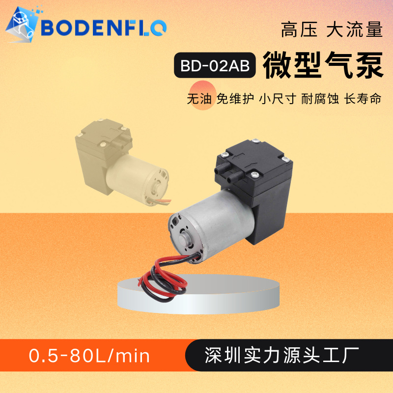 3L小空气泵12V24V长寿命无刷电机EPDM隔膜BD-02AB迷你气泵隔膜泵