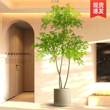 Gֲ҃ȴԼٻ͏d߶pݼ٘ؔ[