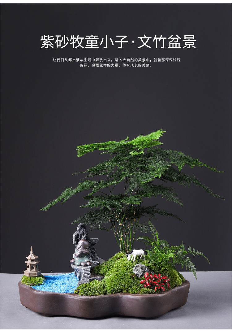详情图