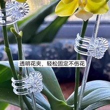 �����m�A��ֲ��̶��A���ϊAֲ����֊A����С�A�ӈ@ˇ���͊A