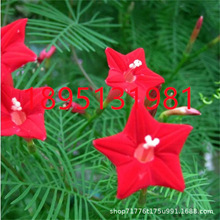 ���N���~�L�}�N������ǻ��N�\�}�̨�����L�}�S�}�����S�}���N��
