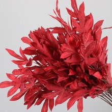 �S��ֱ�N��c�tɫϵ�л��Ľ����������û�Y�õ��·�����廨