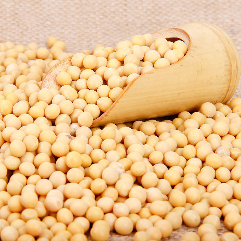 高品质大麦微波熟化机 黑豆微波烘焙机 杂粮谷物微波干燥防虫设备