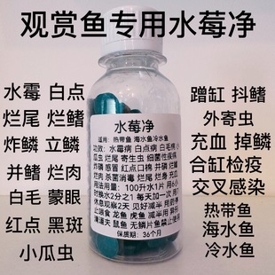 ˮù���~���~șˮ�嚢����ë������ë���c��β���⠀����Ѫ���~ș