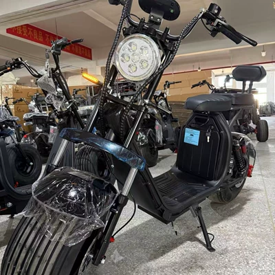 Ha Lei – Auto Parts and Accessories Harley Electric Vehicle