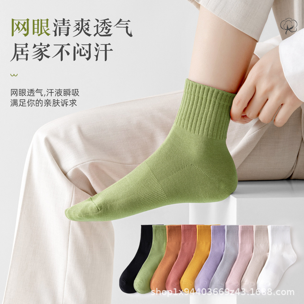 여성면 양말 [멀티 컬러 튜브 양말 조합]