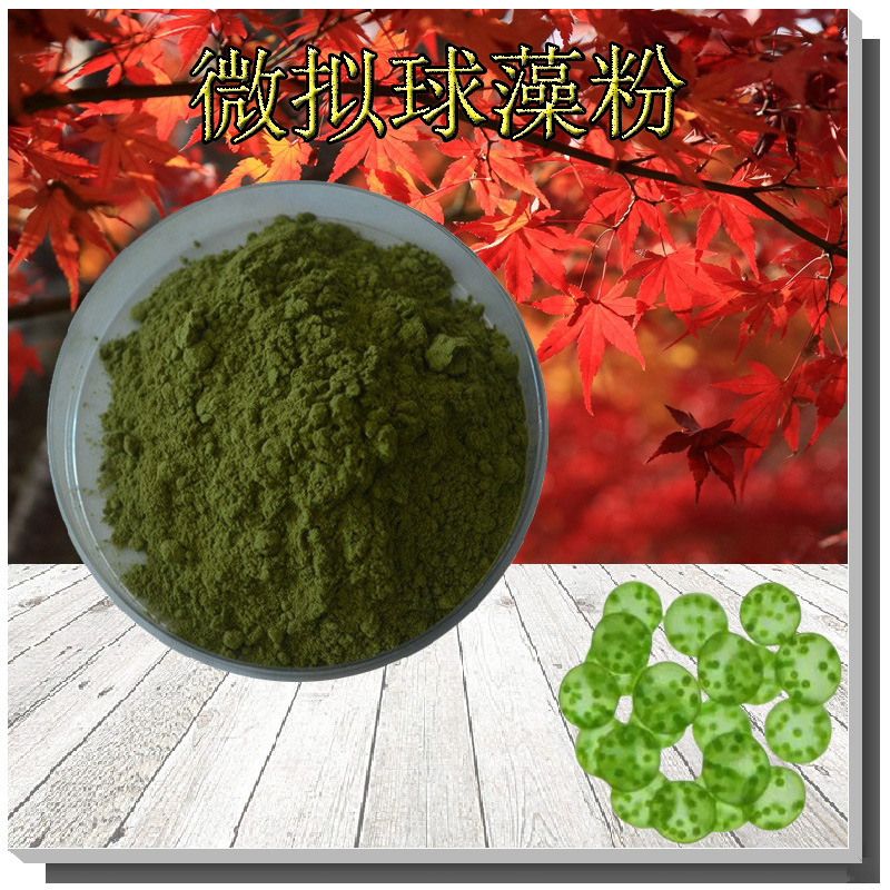 微拟球藻粉EPA≥2%蛋白质40%贝塔胡萝卜素60%支持检测微拟球藻粉
