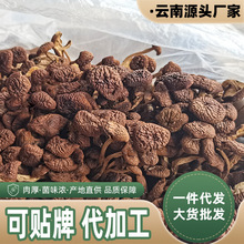 云南特产农家茶树菇干货无硫不开伞茶新菇非特级香菇蘑菇特产菌类