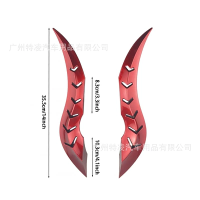 Other Car Modifications – pieces of car roof dragon